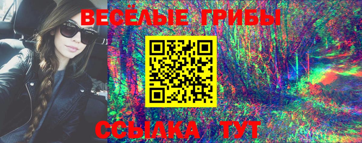 Псилоцибиновые грибы GOLDEN TEACHER  Галлюциногенные грибы прущие грибы  Артёмовский  Вход с VPN 