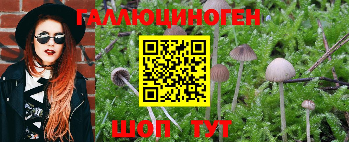 Псилоцибиновые грибы ЛСД Артёмовский